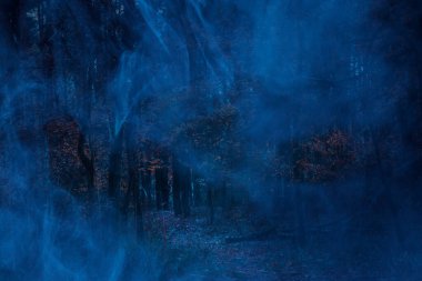 Hayalet mavisi yoğun ve gizemli bir sonbahar ormanı kızıl yapraklı vahşi yaşam ve cadılar bayramı konseptiyle kaplıdır.