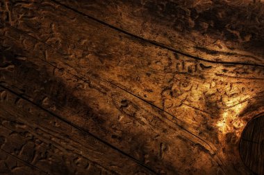 Parlak ve karanlık ahşap desenli ve çatlak orman büyüsü yakın plan tasarım çevre konsepti için