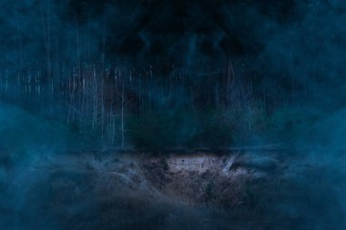 Uzun çam ağaçları ile büyüleyici gece ormanı mavi gizemli sisli doğayla kaplı cadılar bayramı kavramı