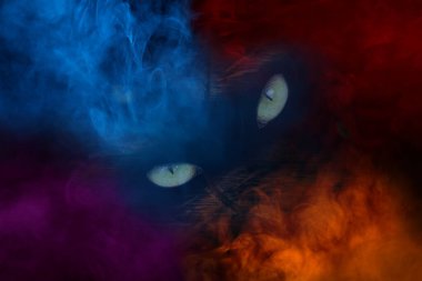 Bir sigara çiftinden gelen renkli ve sanatsal bir sisin etrafındaki orman iblisinin ışıl ışıl gözleri. Doğanın ve Cadılar Bayramı 'nın kavramı.