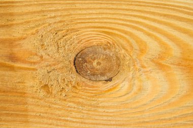 Ahşap işçiliği tasarımı için çeşitli yuvarlak ve dalgalı çizgiler arka planına sahip parlak ahşap doku