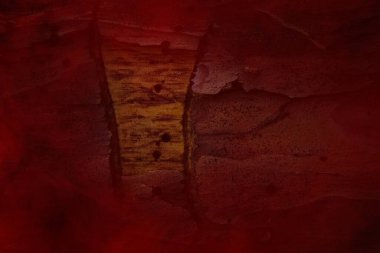 Kırmızı hayalet sisi çam ağacını çizik şekilleriyle kapladı ve vahşi yaşam konsepti için kısmen soyulmuş kabuk arka planıyla.