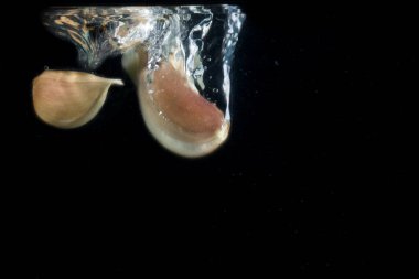 Karanlık bir arka planda suyun altında kalan sarımsak parçaları yiyecek ve sebze kavramının üzerinde güzel bir iz bırakır.