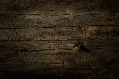 Koyu gri grunge orman dokusu kabuksuz fantastik desenler ince çatlaklar ve yüzeydeki çizikler tasarım çevresi kavramı için.