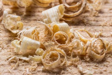 Küçük odun kırıntıları iş yerinde yatar. Ahşap işçiliği kavramını yakından incele.