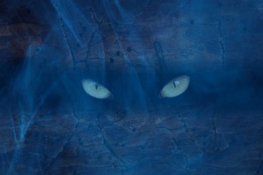 Karanlık bir delikte parıldayan bir orman iblisinin hayaleti gözleri. Gece mavisi bir sis konseptiyle kaplı bir ağaç gövdesinde. Cadılar bayramı ve mistisizm.