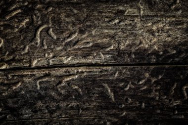 Tasarım çevre kavramı için yatay çatlak yakın plan ile koyu ve gizemli ahşap dokusu