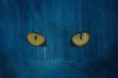 Bir gece çam ormanındaki hayaletin turuncu gözleri mavi sisle kaplanmış vahşi yaşam mistik ve cadılar bayramı kavramını büyülüyor.