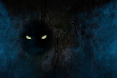 Bir ağaç gövdesinin karanlık yuvarlak oyuğunda doğanın tasarımı için gizemli mavi bir sis soyutlaması etrafında vahşi bir hayvanın sarı gözleri parlıyordu.