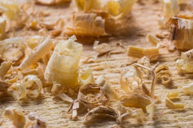 İnce ve çok renkli ahşap talaşları iş yerindeki ahşap kaplama konseptine yatar.