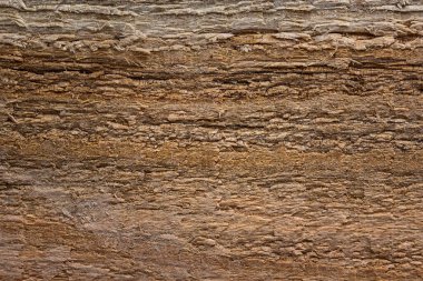 Çok renkli koyu renk ahşabın dokusu tasarım için çok güzel doğal arka plan.