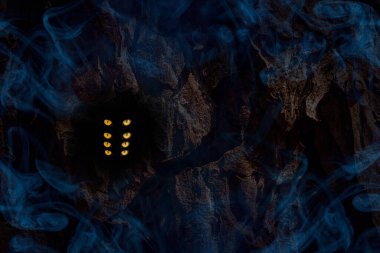 Dört çift turuncu ışıldayan göz, mavi mistik bir sis bulutunun etrafındaki bir ağacın karanlık oyuğunda vahşi yaşam konsepti için tasarlanmış.