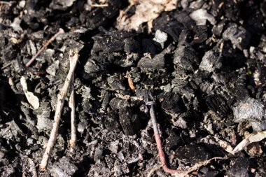 Sönmüş bir yangından sonra küllerin ve kömürlerin doğal arkaplanı