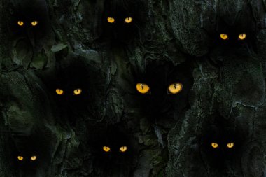 Ağaç gövdesinde, vahşi hayvanların turuncu gözleri vahşi yaşam kavramını parlatacak bir sürü karanlık delik var.