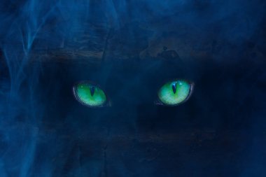 Mavi bir gece sisinde parlayan yeşil gözler. Bilinmeyen bir canavar. Karanlık bir ağacın çatalında gizlenmiş.