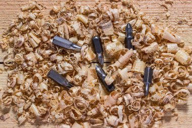 Tornavida için çıkarılabilir çelik başlıklar, iş yerindeki ahşap bir çipin içinde bulunur. Alet ve ahşap işçiliği kavramı.