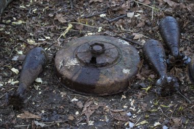 İkinci Dünya Savaşı 'ndan kalma paslı eski metal madenleri ormandaydı.