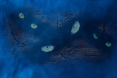 Ormanın çok renkli gözleri mavi mistik sisin arkasına gizlenmiş cadılar bayramı ve vahşi yaşam kavramı.