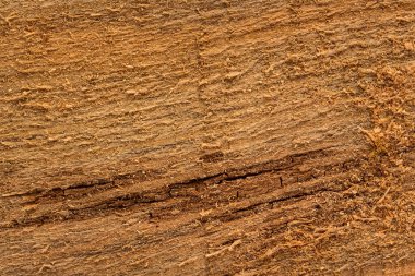 Tasarım için yüzey zeminini kaplayan ince ince ince kıymıklarla parlak ahşap doku.