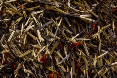 kadife çiçeği tohumu dokusu tasarım için doğa yakın ve bahçe konsepti