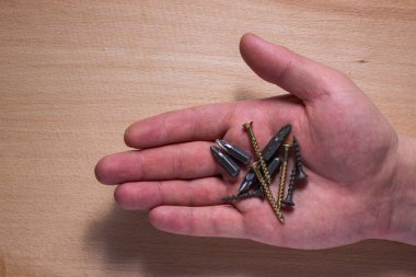 Tornavida için çıkarılabilir ipuçları ve ahşap arka plan kavramı ve endüstrisi üzerine çalışan bir işçinin avucunda çeşitli kendi kendine dokunabilen vidalar.