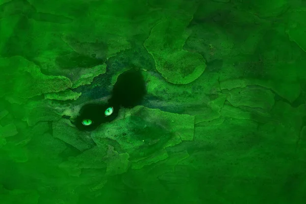 Yeşil Sis Cadılar Bayramı Konseptiyle Kaplı Bir Orman Ağacının Kabuğunda — Stok fotoğraf