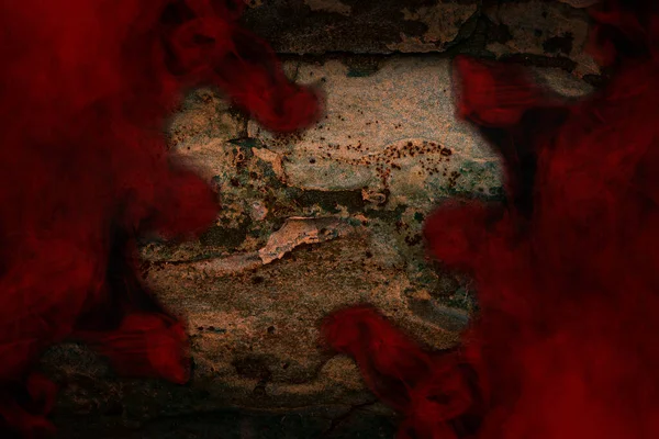 Vörös Köd Borította Szélén Egy Erdei Törzs Közelkép Varázslatos Minták — Stock Fotó