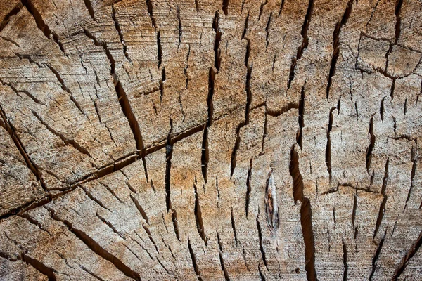 Světlé Dřevěné Textury Spoustou Trhlin Pozadí Pro Design — Stock fotografie