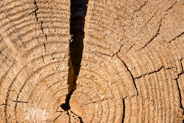 Bright Texture Cracked Wood Close Background Design Concept Woodworking — Stock Photo, Image