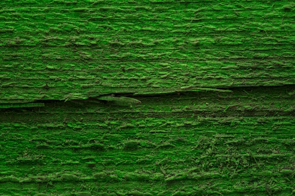 Textura Madeira Verde Misteriosa Com Superfícies Irregulares Slivers Finos Close — Fotografia de Stock