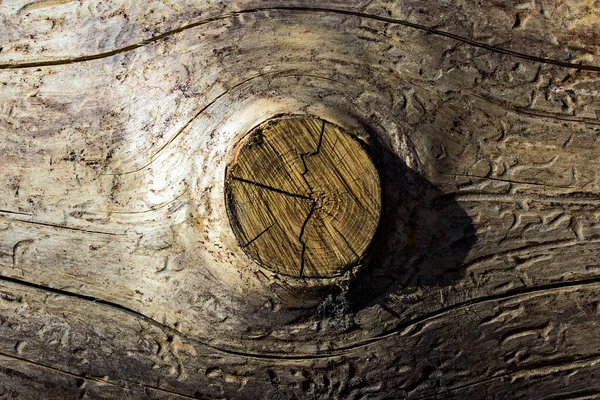 Textura Madera Bosque Sin Corteza Con Patrones Grietas Nudo Recortado —  Fotos de Stock