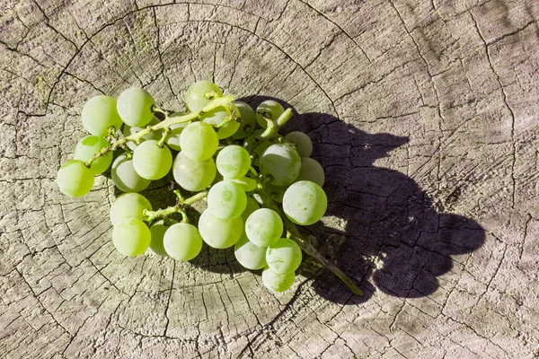 Des Grappes Raisins Blancs Reposent Sur Une Souche Bois Sont — Photo
