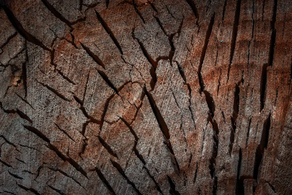 Parçalanan Bir Ağacın Dokusu Tasarım Için Çok Sayıda Çatlak Arka — Stok fotoğraf