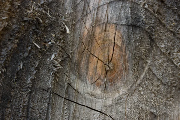 Textuur Van Een Ruwe Houten Snede Met Een Geel Patroon — Stockfoto