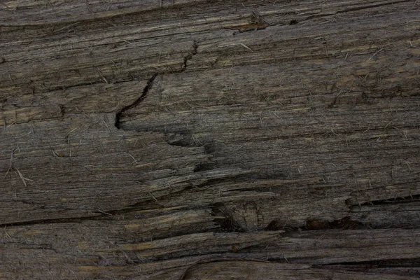 Textura Madera Agrietada Primer Plano Fondo Natural Para Diseño —  Fotos de Stock