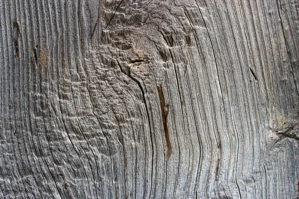 Fantastische Natürliche Hintergrund Graues Holz Mit Einer Nicht Glatten Oberflächenstruktur — Stockfoto