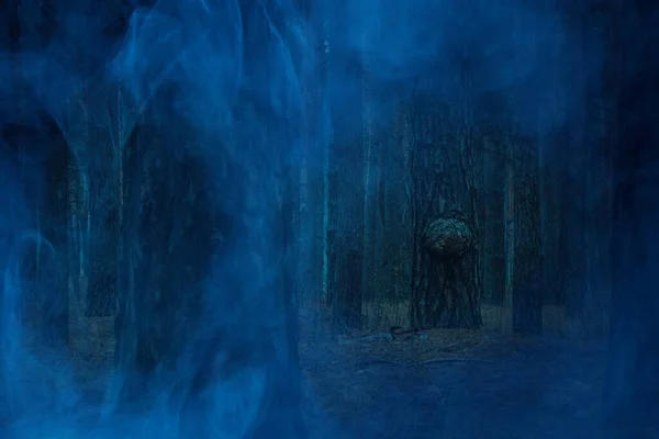Ночной Мистический Лесной Пейзаж Призрачном Голубом Тумане Высокие Толстые Стволы — стоковое фото