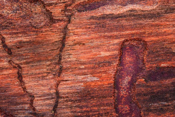 Přírodní Vzory Hnědém Povrchu Borového Dřeva Částečně Oloupaným Kůrovým Pozadím — Stock fotografie