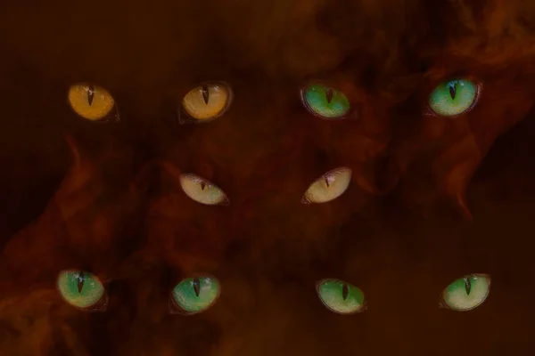 Fünf Paar Katzenaugen Funkeln Vor Dem Hintergrund Eines Zigarettenfarbenen Dampfes — Stockfoto