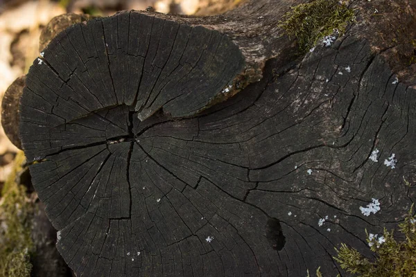 Texture Legno Nero Ammaliante Taglio Con Bellissimi Modelli Crepe Bordi — Foto Stock