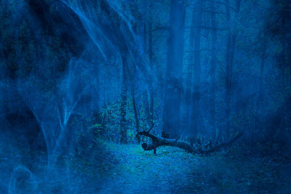 Mysterious fallen tree in a mystical forest covered with thick blue mist concept of wilderness and Halloween no one around