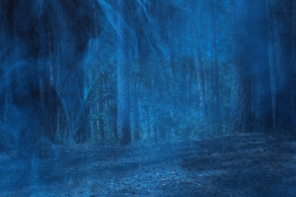 Blue ghostly fog in the night forest with pine trees mysterious atmosphere and no one around the concept of nature and wilderness