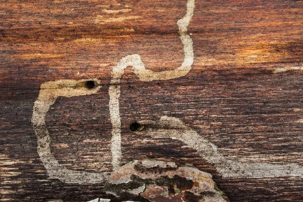 Mysterieuze Natuurlijke Patronen Donkere Gaten Een Donker Licht Houten Oppervlak — Stockfoto