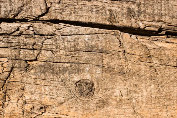 Helle Textur Der Alten Holzplatte Mit Unterschiedlichen Mustern Und Rissen — Stockfoto