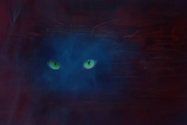 Blå Röd Skog Spöke Med Gröna Glittrande Ögon Dimmiga Och — Stockfoto