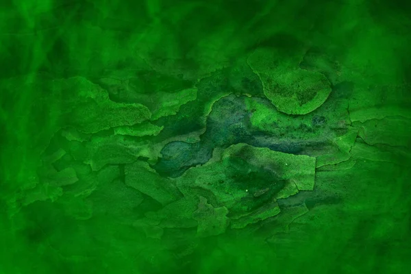 Grunge Tekstury Sosny Leśnej Pokryte Zieloną Mistyczną Tapetę Mgły Projektowania — Zdjęcie stockowe