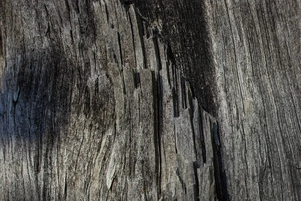 Misteriosa Textura Cinza Madeira Velha Closeup Com Padrões Pretos Fundo — Fotografia de Stock