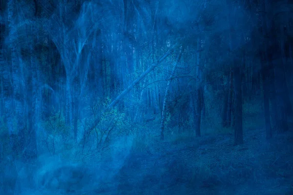 gizemli gece vahşi doğası mavi sisle kaplı fantastik ormanlar uzun ağaçlar doğa konsepti