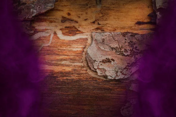 Obrane Sosnowy Bagażnik Pokryte Fioletową Mgłą Krawędziach Tajemnicze Wzory Tła — Zdjęcie stockowe