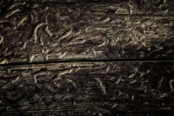 Tasarım çevre kavramı için yatay çatlak yakın plan ile koyu ve gizemli ahşap dokusu